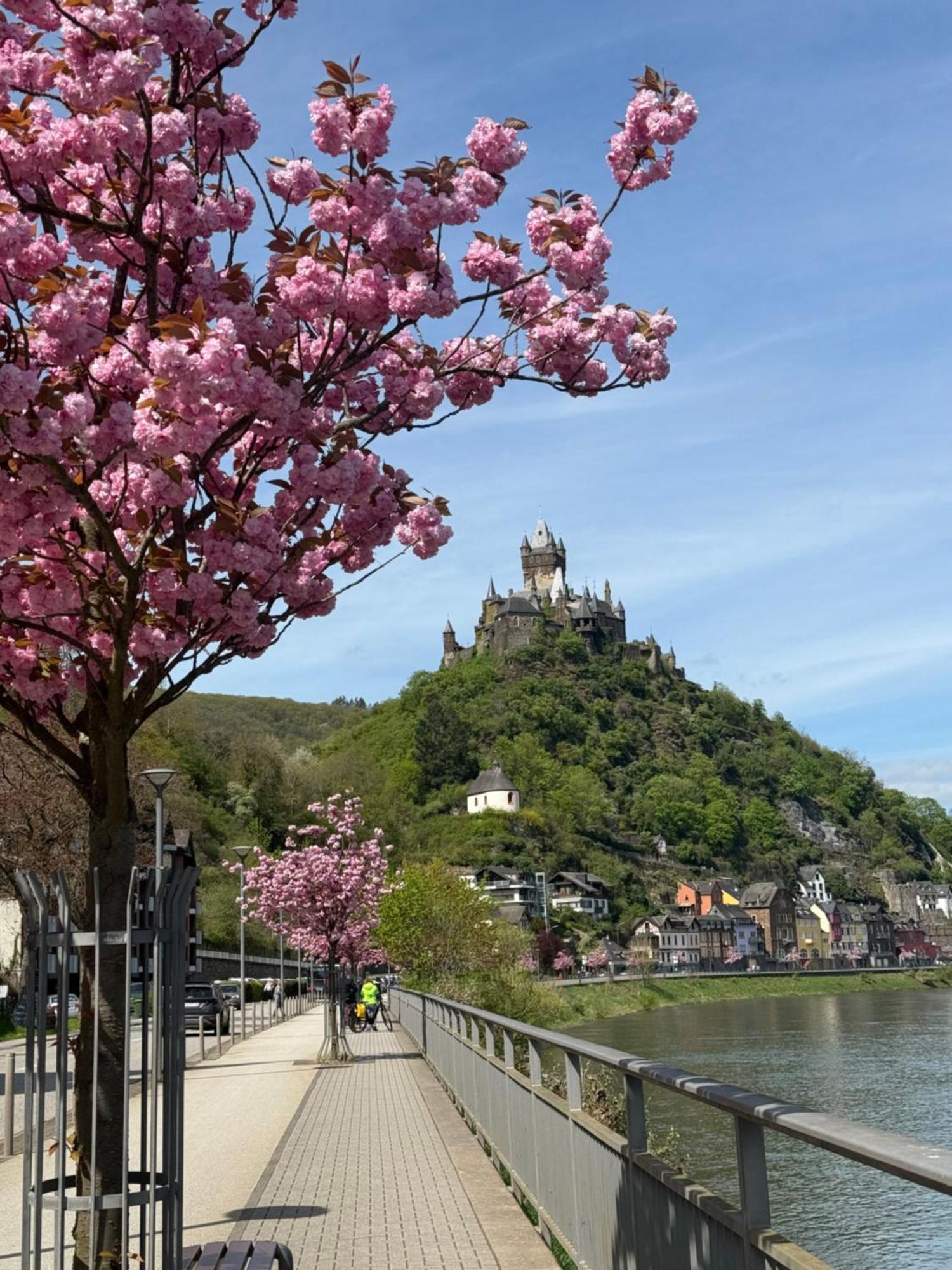 Haus Rubi Apartment Cochem Exterior foto